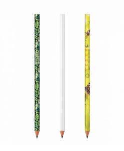 BIC Evolution Digital Ecolutions blyant